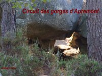 2016-10-09 Les gorges d Apremont 0000